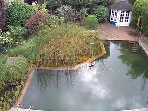 Wechsel zum Livebild mit Zugangsbeschränkung IP Webcam WLAN PTZ Garten